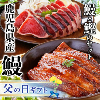 【父の日】枕崎産かつお節香る 鰻と鰹セットA6-137F【配送不可地域:離島】【1559586】鹿児島県枕崎市16000魚介・海産物うなぎ