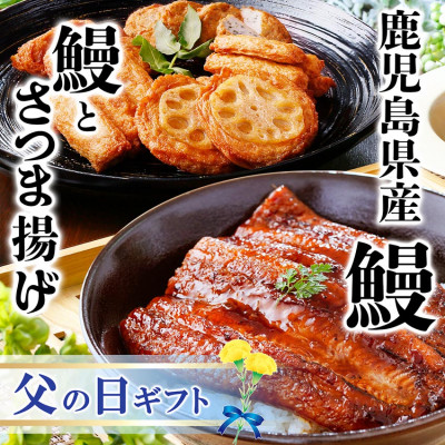 【父の日】うなぎとさつま揚げ詰め合わせセットA6-136F【配送不可地域:離島】【1559593】鹿児島県枕崎市16000魚介・海産物うなぎ