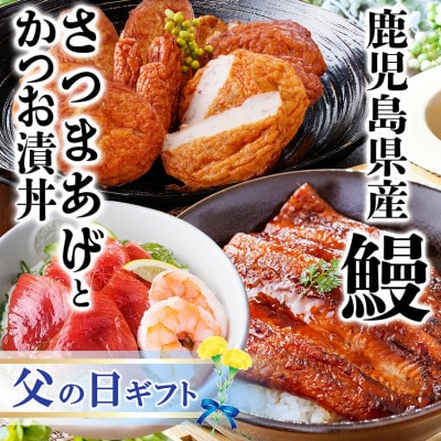 【父の日】鹿児島県産うなぎとさつま揚げとかつお丼セットA4-6F【配送不可地域:離島】【1605468】鹿児島県枕崎市14000魚介・海産物うなぎ