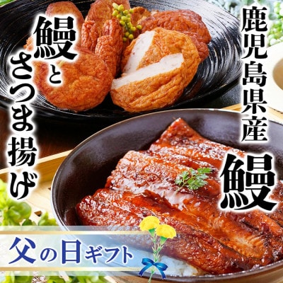 【父の日】鹿児島県産うなぎとさつま揚げ 大サイズ鰻1尾と3種類のさつま揚げ12枚入りA2-16F【配送不可地域:離島】【1605469】鹿児島県枕崎市12000魚介・海産物うなぎ