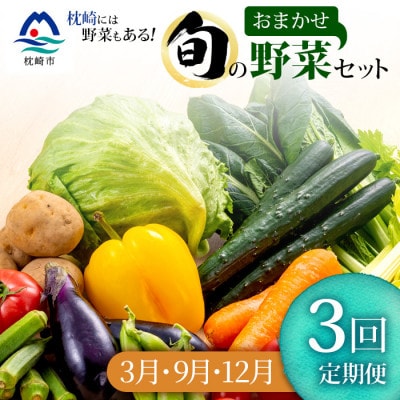【発送月固定定期便】枕崎の野菜!!定番・旬の野菜お任せセット(3・9・12月)DD0-0009全3回【配送不可地域:離島】【4057594】鹿児島県枕崎市40000野菜・きのこその他 野菜