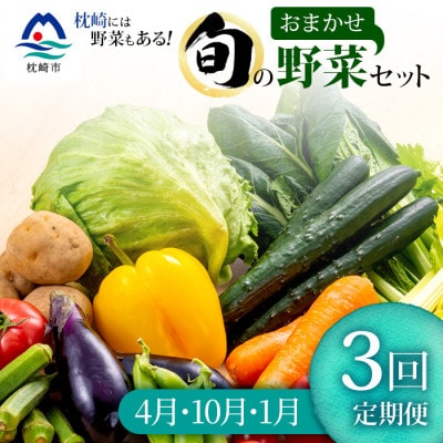 【発送月固定定期便】枕崎の野菜!!定番・旬の野菜お任せセット(4・10・1月)DD0-0007全3回【配送不可地域:離島】【4057601】鹿児島県枕崎市40000野菜・きのこその他 野菜