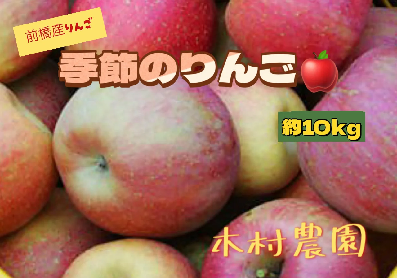 季節のりんご 10kg群馬県前橋市21000果物・フルーツりんご・梨