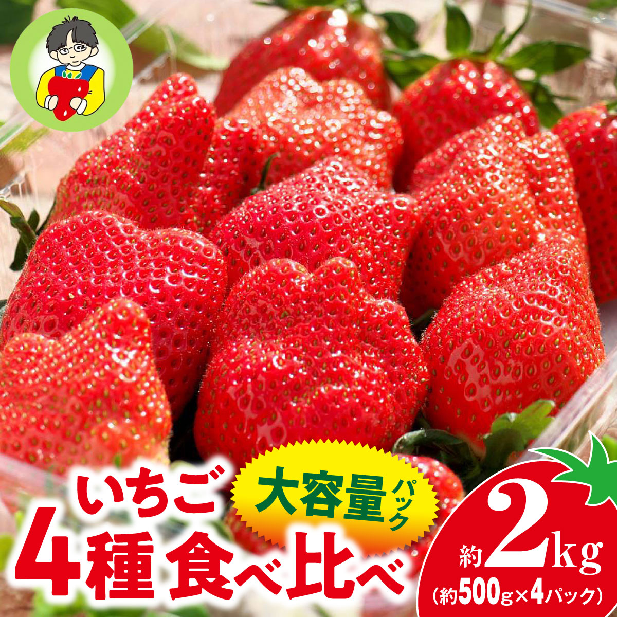 【2026年 先行予約】いちご 4種食べ比べ 大容量パック 約500g×4パック 2kg群馬県前橋市24000果物・フルーツいちご