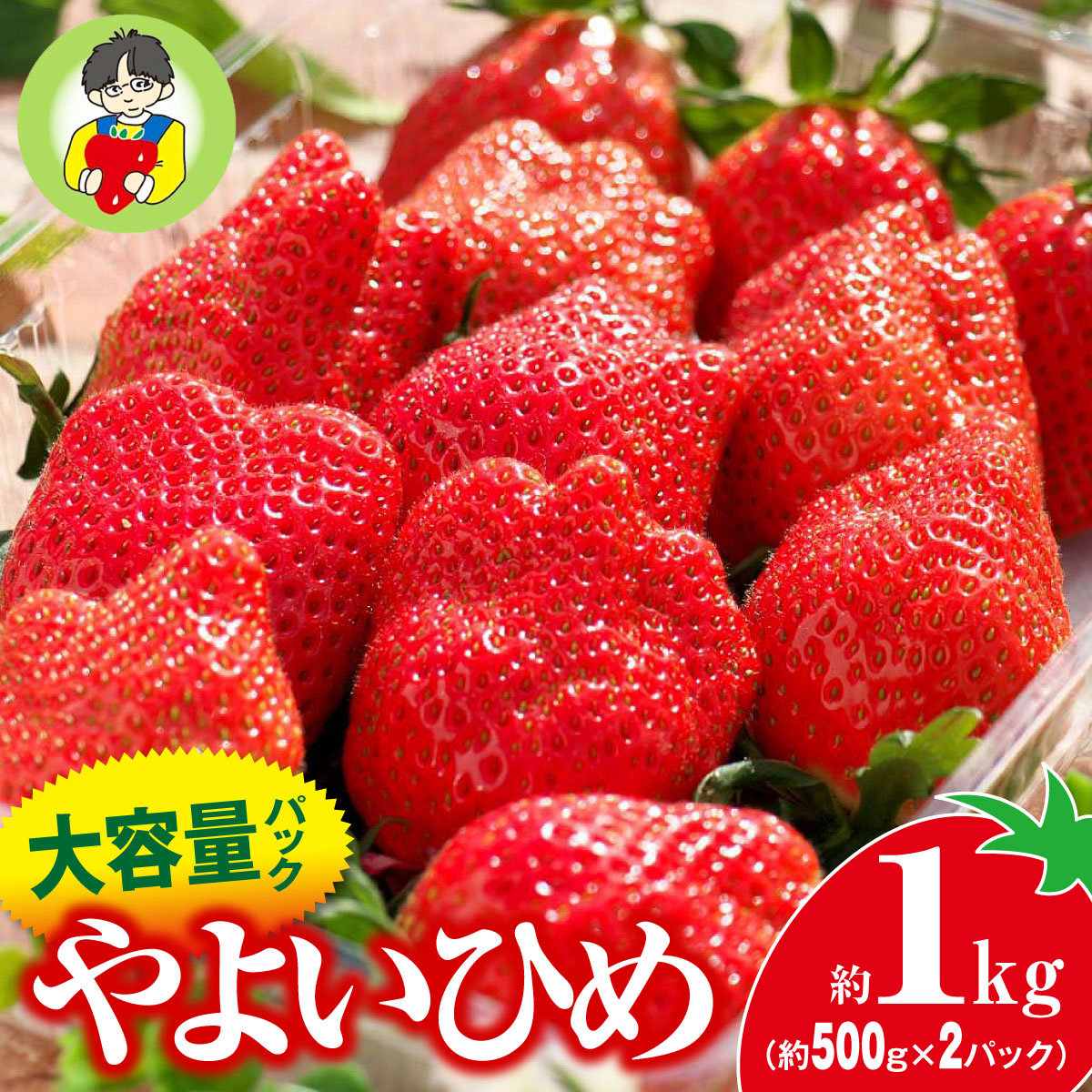 【2026年 先行予約】やよいひめ 500g × 2パック 1kg群馬県前橋市11000果物・フルーツいちご