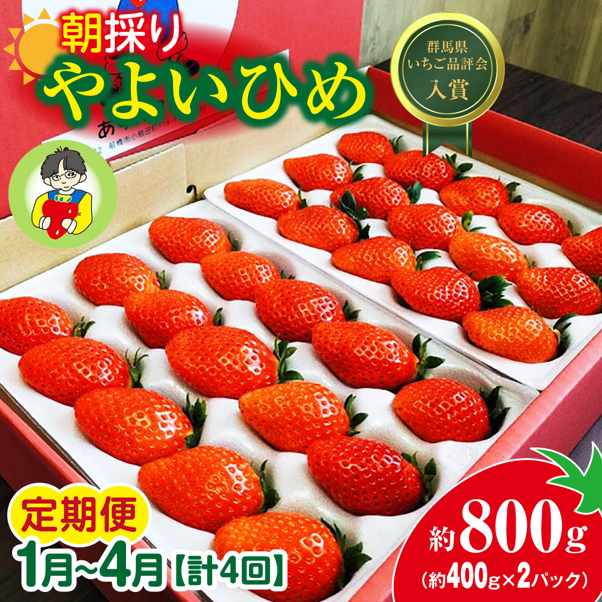 【2026年 先行予約】<定期便1月〜4月>やよいひめ 400g × 2パック 800g 計4回群馬県前橋市56000果物・フルーツいちご