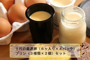 A-11 千代の厳選卵(6ヶ入り×4パック)&プリン(3種類×2個)セット群馬県前橋市10000菓子・スイーツケーキ・カステラ