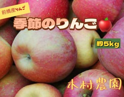 季節のりんご 5kg群馬県前橋市11000果物・フルーツりんご・梨