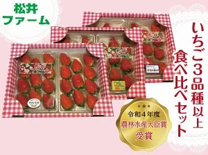 【2026年 先行予約】いちご3品種以上 食べ比べセット計6パック群馬県前橋市17000果物・フルーツいちご
