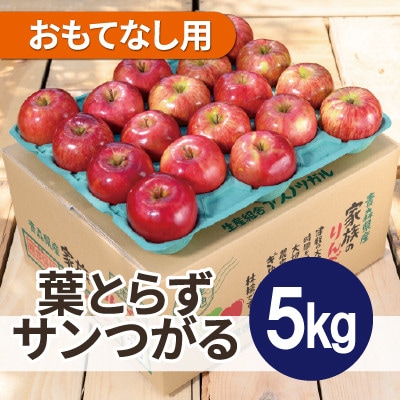 【2025年10月発送予定】平均糖度12度以上! 葉とらずサンつがる 約5kg おもてなし用【配送不可地域:離島・沖縄】【1667865】青森県大鰐町15000果物・フルーツりんご・梨