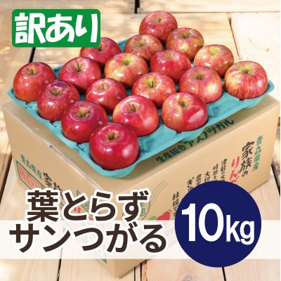 【2025年10月発送予定】平均糖度12度以上! 葉とらずサンつがる 約10kg 訳あり【配送不可地域:離島・沖縄】【1667871】青森県大鰐町20000果物・フルーツりんご・梨