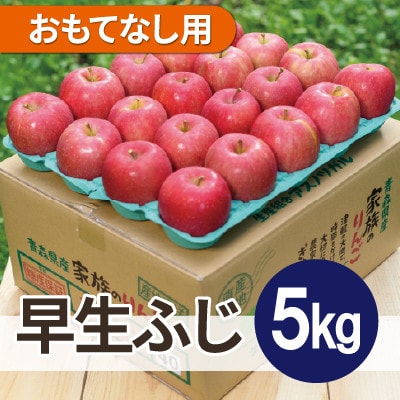 【2025年10月発送予定】平均糖度12度以上! 早生ふじ 約5kg おもてなし用【配送不可地域:離島・沖縄】【1667885】青森県大鰐町15000果物・フルーツりんご・梨
