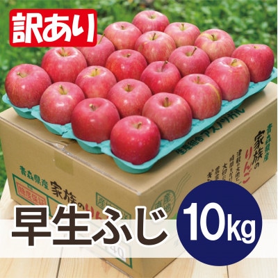 【2025年10月発送予定】平均糖度12度以上! 早生ふじ 約10kg 訳あり【配送不可地域:離島・沖縄】【1667886】青森県大鰐町20000果物・フルーツりんご・梨