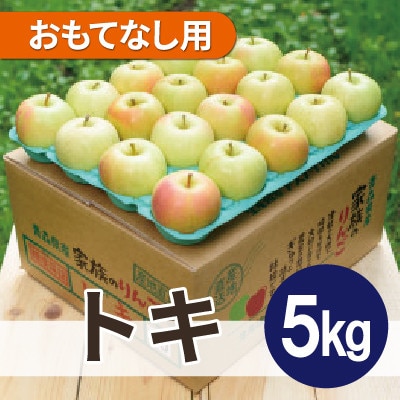 【2026年1月より順次発送】平均糖度13度以上! トキ 約5kg おもてなし用【配送不可地域:離島・沖縄】【1667910】青森県大鰐町15000果物・フルーツりんご・梨