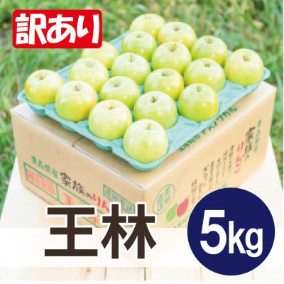 y26N1菇zϓx13xȏ!  5kg 󂠂yzsnFEzy1667934zXk10000ʕEt[c񂲁E