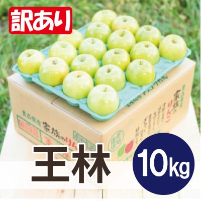 y26N1菇zϓx13xȏ!  10kg 󂠂yzsnFEzy1667936zXk20000ʕEt[c񂲁E