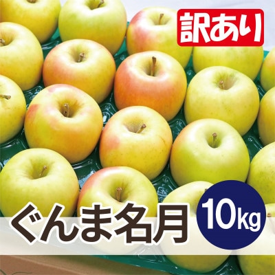 【25年11月より順次発送】平均糖度13度以上! ぐんま名月 約10kg 訳あり【配送不可地域:離島・沖縄】【1667960】青森県大鰐町20000果物・フルーツりんご・梨