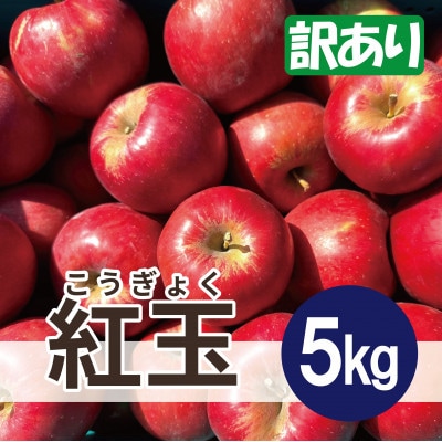 【25年12月出荷予定】 紅玉 約5kg 訳あり【配送不可地域:離島・沖縄】【1667976】青森県大鰐町15000果物・フルーツりんご・梨