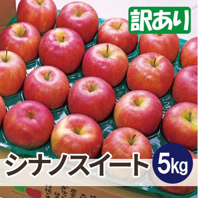 【26年1月出荷予定】平均糖度13度以上! シナノスイート 約5kg 訳あり【配送不可地域:離島・沖縄】【1668003】青森県大鰐町15000果物・フルーツりんご・梨