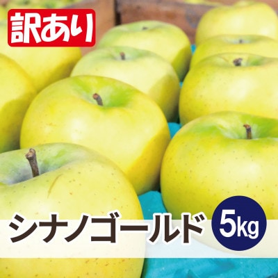 【25年12月出荷予定】平均糖度13度以上! シナノゴールド 約5kg 訳あり【配送不可地域:離島・沖縄】【1668091】青森県大鰐町10000果物・フルーツりんご・梨