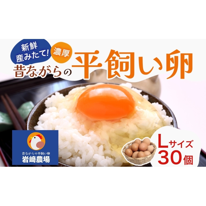 ʌ@cs  30 LTCY ʎq VN Z RN  { ^}S Mtg Zbg 蕨 v[g Hi H ͂ Ƒ c H H ` ґ ٓʌ@cs