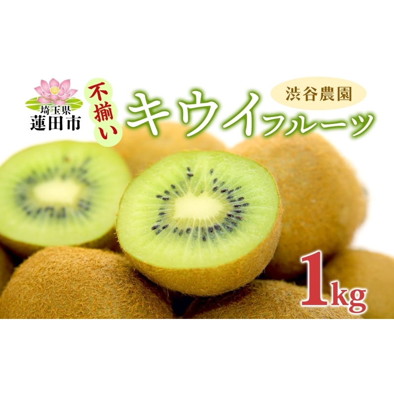 渋谷農園 キウイフルーツ(グリーン) 不揃い 1kg以上 訳あり キウイ グリーンキウイ フルーツ 栄養 ビタミンC 食物繊維 酵素 カリウム 葉酸 ビタミンE 低カロリー 果実 果物 お取り寄せ  蓮田市