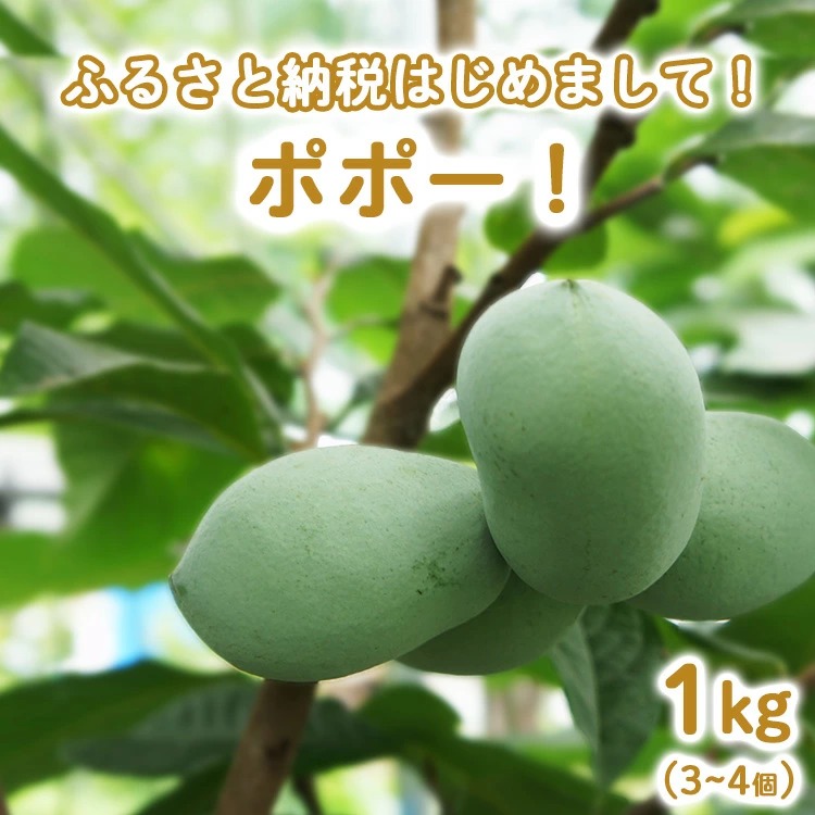 ys\zӂ邳Ɣ[ł͂߂܂āI||[I1kgi34j kCEEւ̔zs 2026N8{`9{ɏ\Ȗ،O쒬15000ʕEt[c