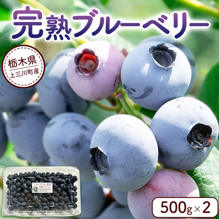 完熟 ブルーベリー500g×2 | 栃木県産 果物 くだもの フルーツ 産地直送 ※離島への配送不可 ※2025年6月下旬〜8月下旬頃に順次発送予定栃木県上三川町12000鍋セット・総菜・加工食品ジャム・