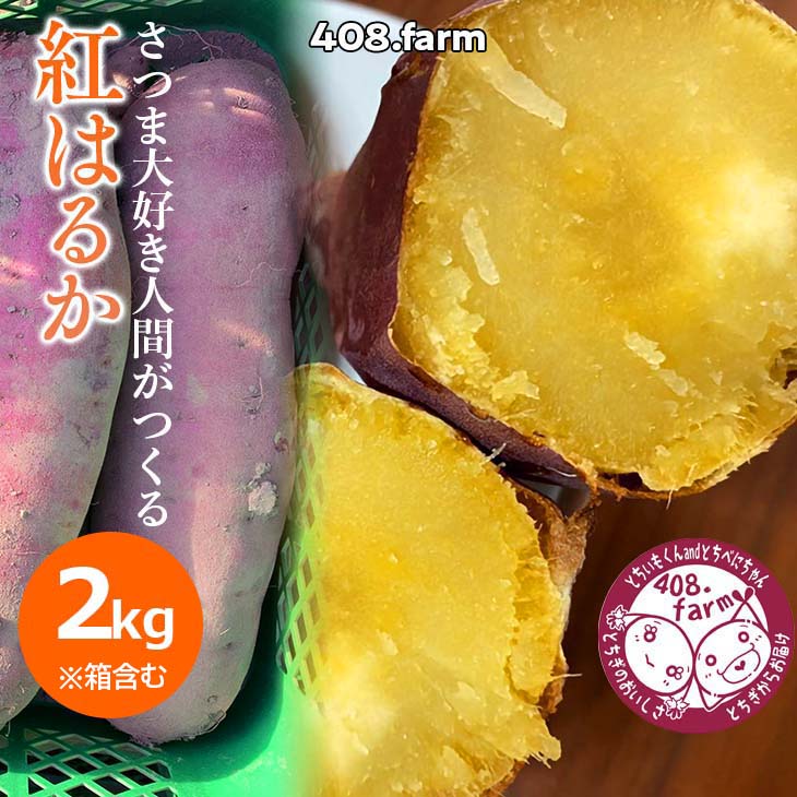 ☆2キロ☆ お試し・少量? さつまいも大好き人間のネットリ系 さつまいも・紅はるか !〜「上三川町」って読めますか?〜栃木県上三川町6000野菜・きのこじゃがいも・イモ類