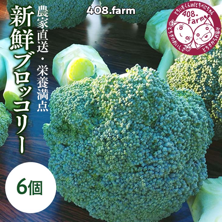 農家直送・栄養満点☆新鮮ブロッコリー! ※2024年11月中旬頃〜順次発送予定栃木県上三川町8000野菜・きのこその他 野菜