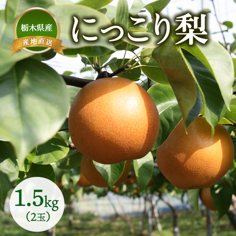 【産地直送】にっこり梨 1.5kg(2玉) ※離島への配送不可 ※2025年10月上旬〜10月下旬頃より順次発送予定栃木県上三川町9000果物・フルーツりんご・梨
