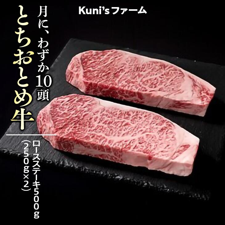 ƂƂߋ@[XXe[L500g(250g×2)Ȗ،O쒬21000