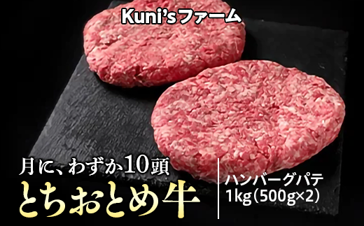 ƂƂߋ@no[Ope1kg(500g×2)  pe ւ̔zsȖ،O쒬12000