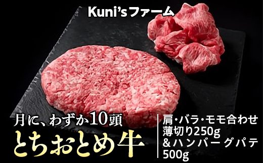 とちおとめ牛 肩・バラ・モモ合わせ薄切り250g&ハンバーグパテ500gセット 牛肉 ハンバーグ栃木県上三川町12000肉牛肉
