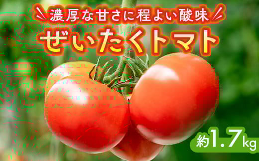 ぜいたくトマト 約1.7kg ※離島への配送不可栃木県上三川町12000野菜・きのこトマト