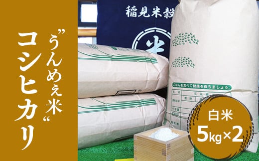 [ߘa6NxY] Ȗ،O쒬YRVqJE (5kg×2)  | Y Ȗ،Y RVqJ   Pꌴ   Ȗؕ Ƃ Yn Ȗ،O쒬23000āEp