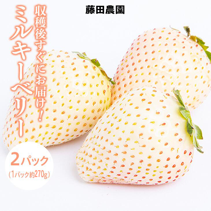 <先行予約> 鬼怒川の恵みをたっぷり受けた 栃木県上三川(かみのかわ)町産 ミルキーベリー(白いちご)【2パック】 いちご イチゴ 苺 白いちご 白イチゴ 白苺 ミルキーベリー ※2026年