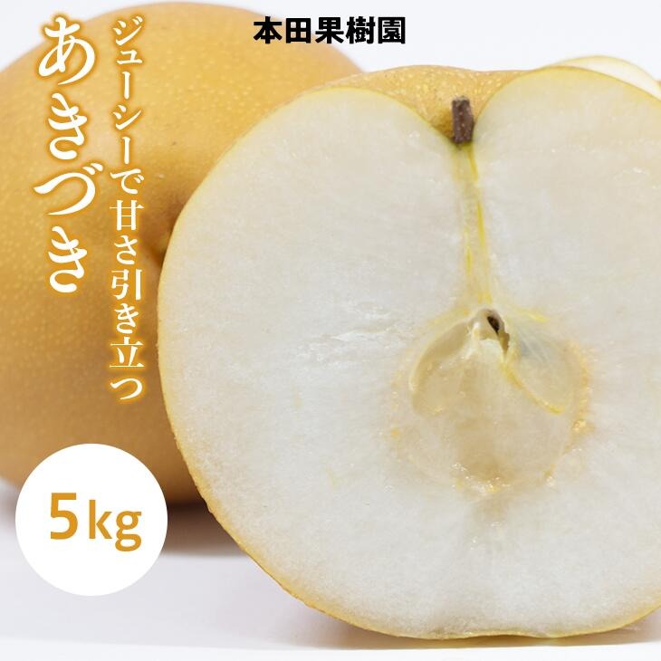 Ȗ،YuÂv  Ȃ 5kg kCEEւ̔zs 2025N9{菇\Ȗ،O쒬17000ʕEt[c񂲁E