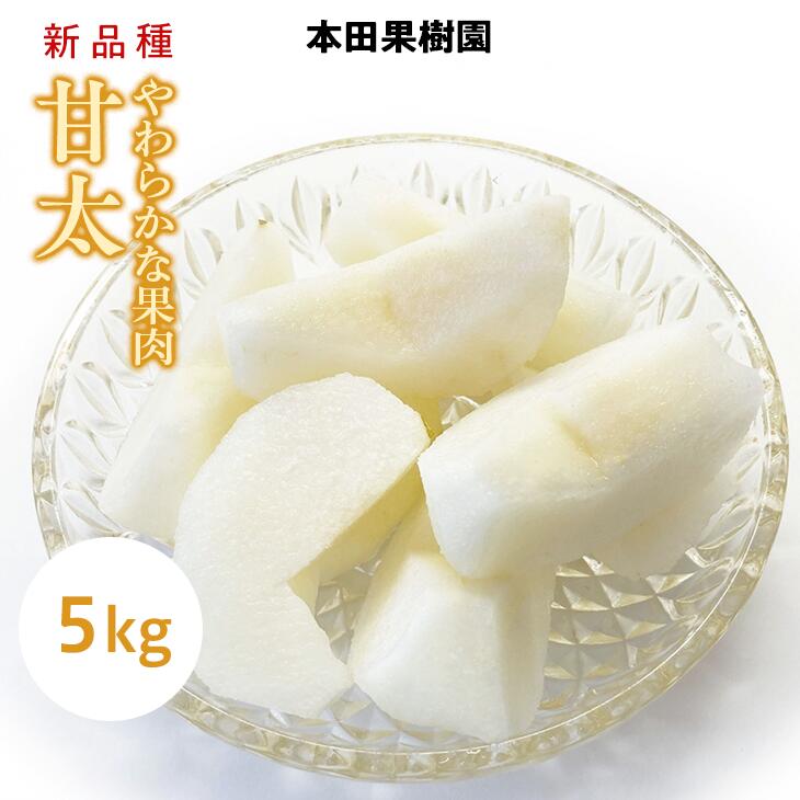 栃木県産梨「甘太」 梨 なし 5kg ※北海道・沖縄・離島への配送不可 ※2025年9月下旬頃より順次発送予定栃木県上三川町17000果物・フルーツりんご・梨