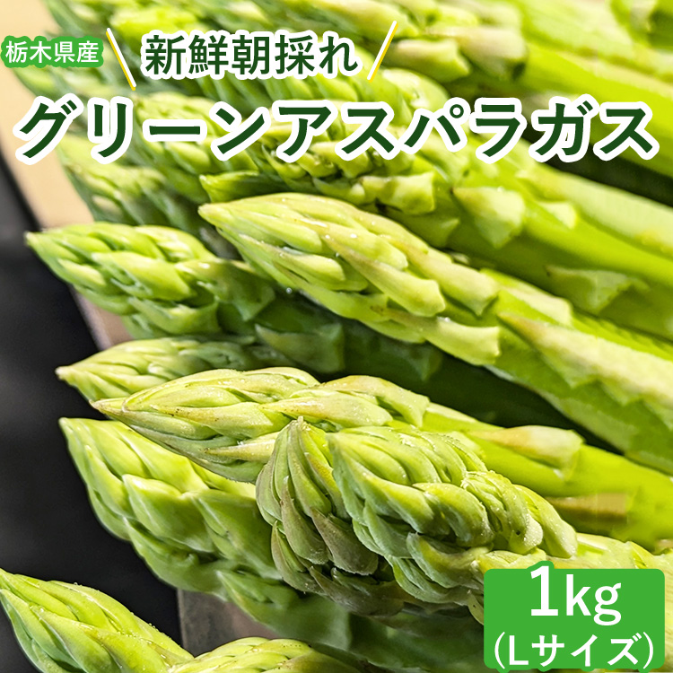 うえの農園の朝採りグリーンアスパラガス Lサイズ 1kg | 国産 栃木県産アスパラガス ※2025年6月より順次発送予定 ※離島への配送不可栃木県上三川町14000野菜・きのこその他 野菜