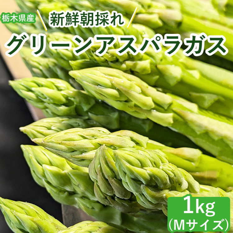 うえの農園の朝採りグリーンアスパラガス Mサイズ 1kg | 国産 栃木県産アスパラガス ※2025年6月より順次発送予定 ※離島への配送不可栃木県上三川町13000野菜・きのこその他 野菜