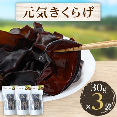 元気きくらげ 3袋【1222417】熊本県水上村6000野菜・きのこきのこ