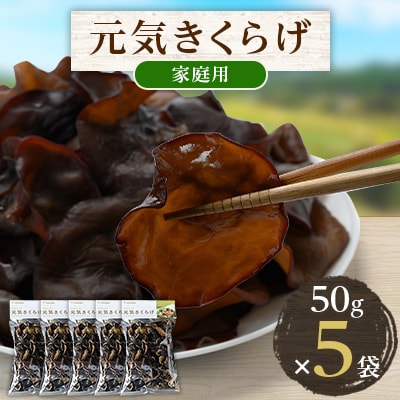 元気きくらげ(家庭用)5袋【1222427】熊本県水上村13000野菜・きのこきのこ