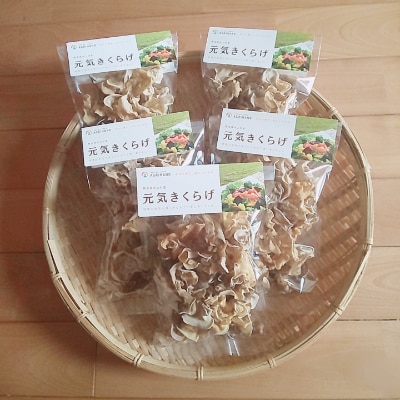 乾燥白いきくらげ(家庭用)【1222454】熊本県水上村13000野菜・きのこきのこ