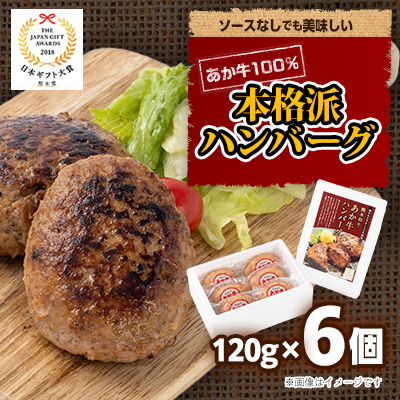 あか牛100%ハンバーグセット(あか牛ハンバーグ120g×6個)(水上村)【配送不可地域:離島】【1542730】熊本県水上村12000肉加工肉(ハム・ソーセージ等)
