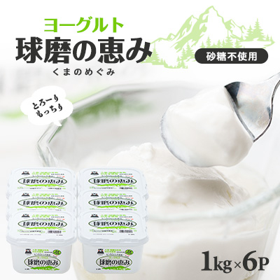 球磨の恵みヨーグルト(無糖)(6kgセット)【配送不可地域:離島】【1551437】熊本県水上村17000卵・乳製品ヨーグルト