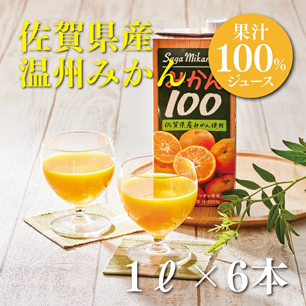 さがみかん100 1L×6本:B110-051佐賀県佐賀市11000お茶・飲料果汁・野菜飲料