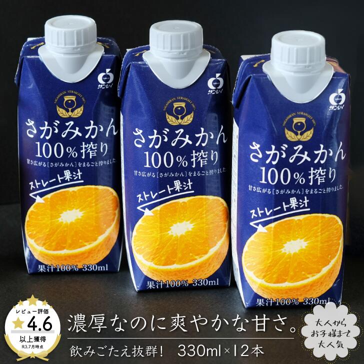 さがみかん100%搾り 330ml×12本:B125-013佐賀県佐賀市12500お茶・飲料果汁・野菜飲料