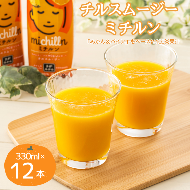チルスムージー ミチルン 330ml×12本:B110-050佐賀県佐賀市10000お茶・飲料果汁・野菜飲料