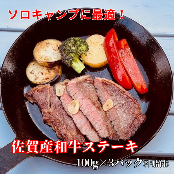 ソロキャンプに最適!佐賀産和牛ステーキ3P:B140-033佐賀県佐賀市14000肉牛肉